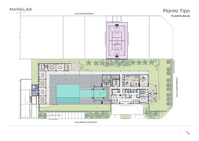 Plano 1 — Manglar Albor