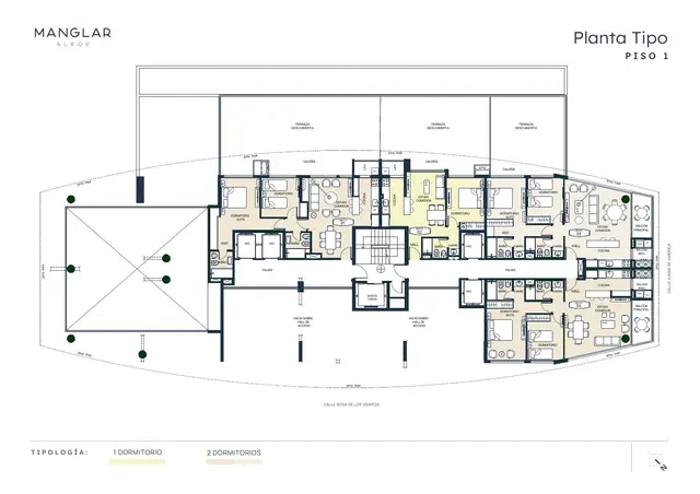 Plano 4 — Manglar Albor