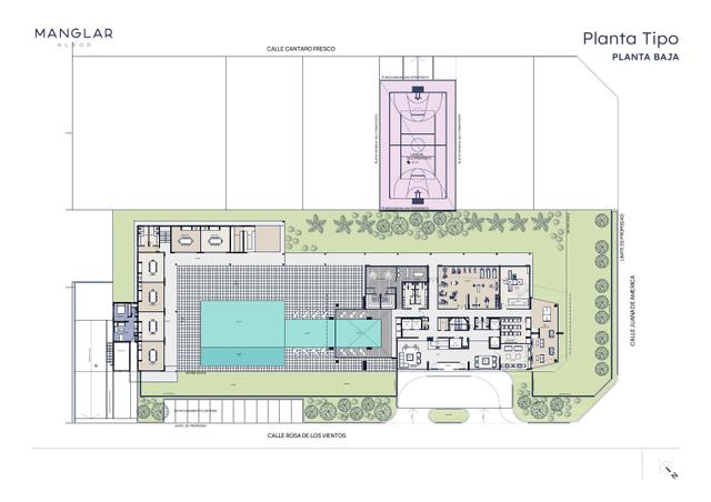 Planta 1 — Manglar Albor