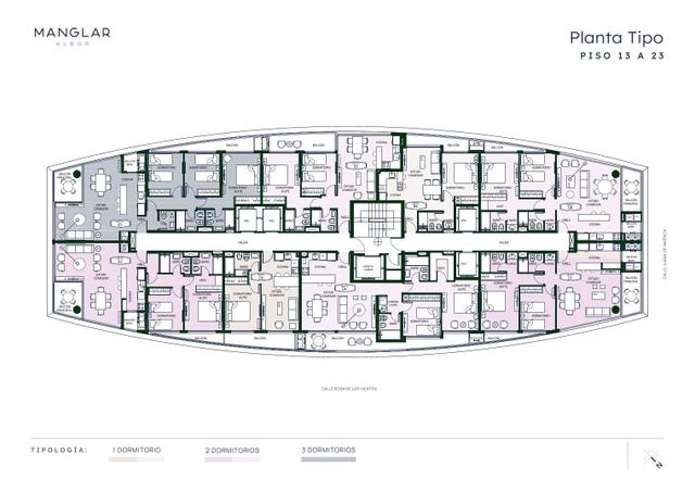 Planta 6 — Manglar Albor