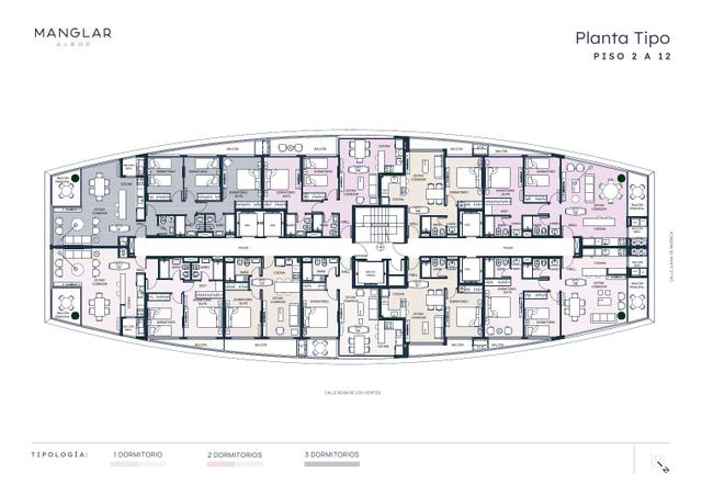 Planta 5 — Manglar Albor