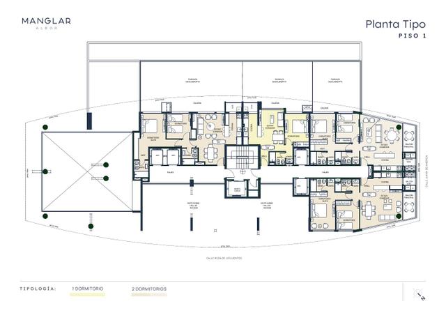 Planta 4 — Manglar Albor